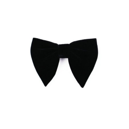 vyriška peteliškė