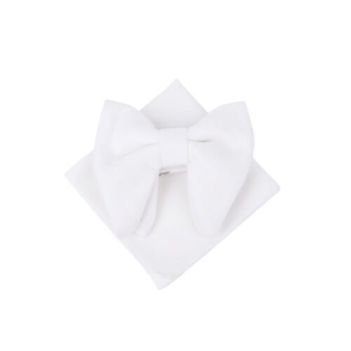 vyriška peteliškė