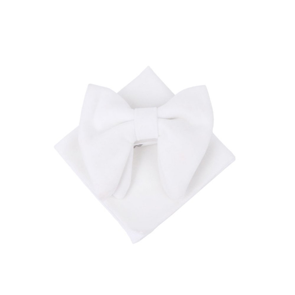 vyriška peteliškė