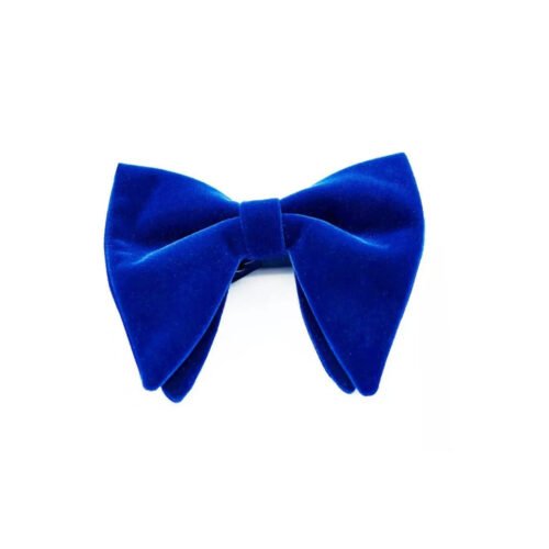 vyriška peteliškė