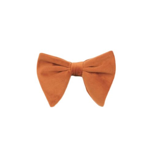 vyriška peteliškė