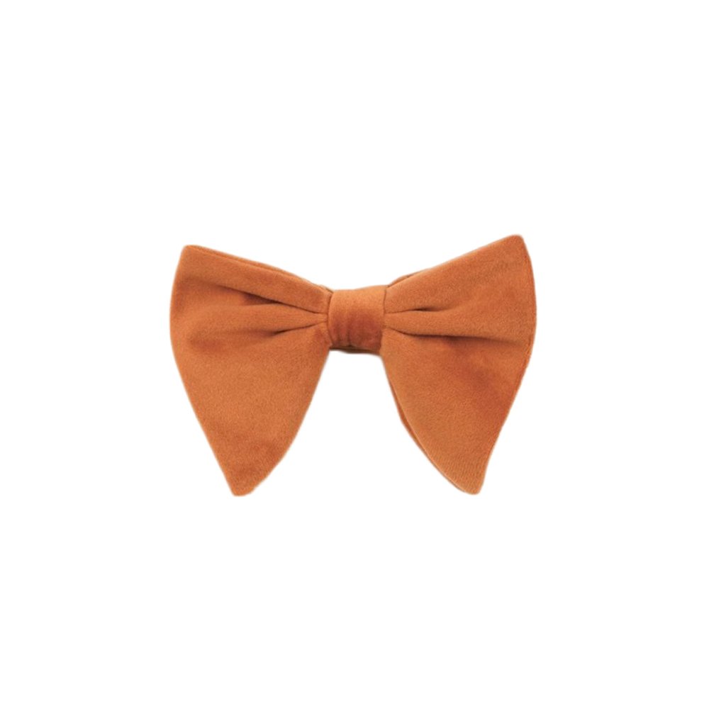 vyriška peteliškė