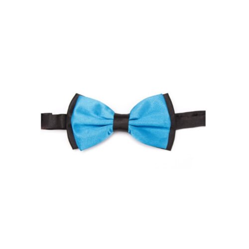 vyriška peteliškė