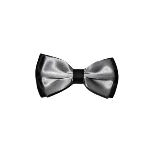 vyriška peteliškė