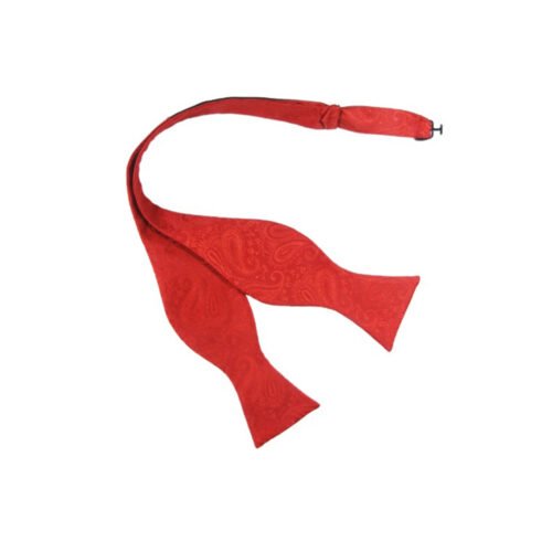 vyriška peteliškė