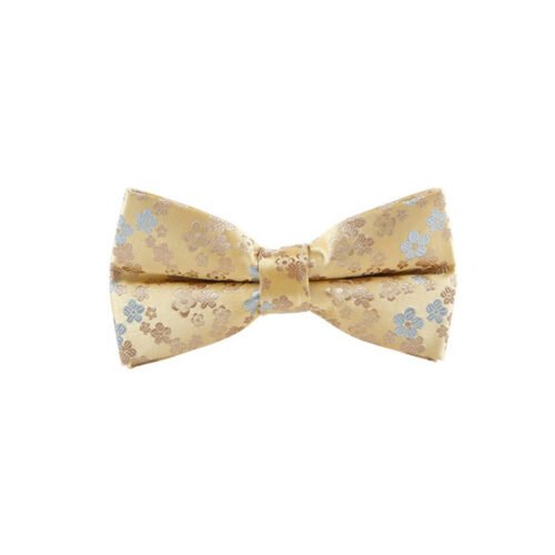 vyriška peteliškė